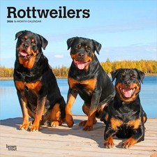 Rottweilers Calendar 2026 |