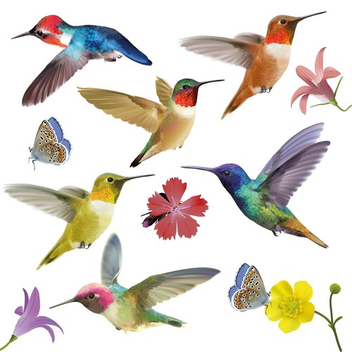 Hummingbird stickers for - hummingbird,