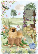 Tibetan Spaniel Dog (4"x 6")