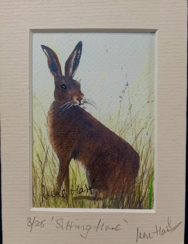 Sitting hare small - sitting,