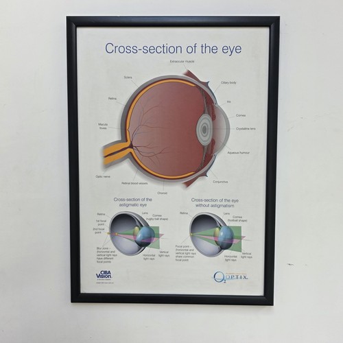 Advertising poster from an - advertising,