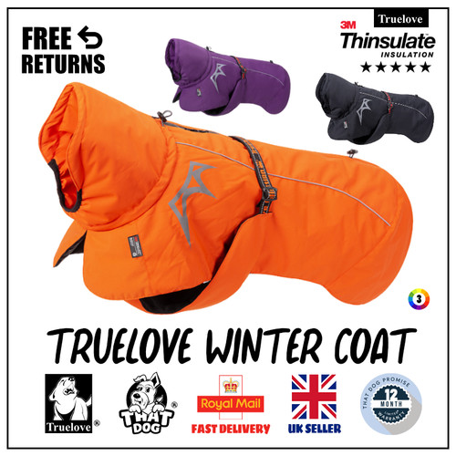 Truelove winter dog - dog, coat