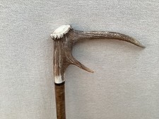 Red Deer Antler Walking Hazel
