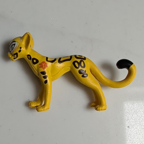 Cheetah from the lion - from, guard