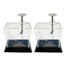 Leaf Electroscope Science