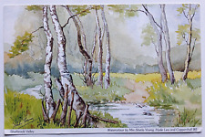 Sherbrook Valley Cannock Chase