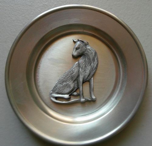 Miniature siamese cat - ,