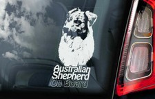 Australian Shepherd Car