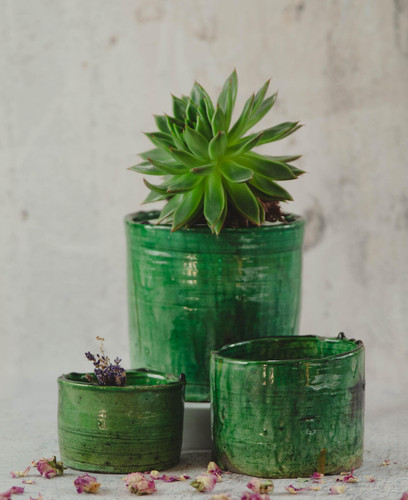 Garden flowerpot plant pot - garden,