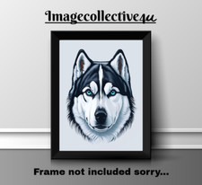 ALASKAN HUSKY  DOG PET A4