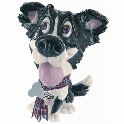 Little paws border collie gyp - little,