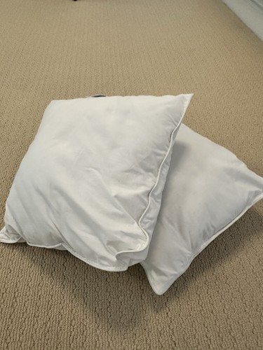 Pair cushion pads - pads, nwt