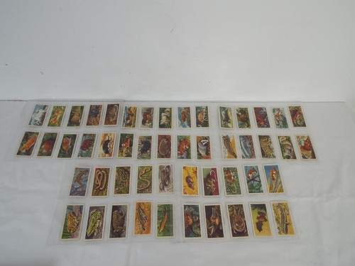 Brooke bond british - brooke,