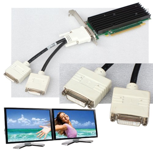 256mb dual head - 256mb, 2xdvi