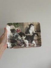 Eddingtons Kitties Meeting