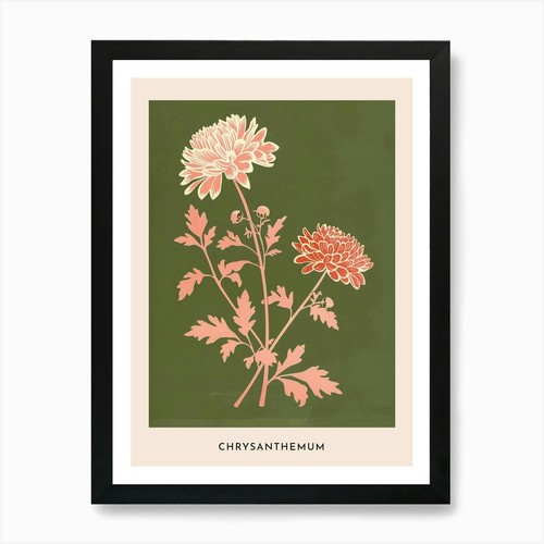 Pink green chrysanthemum 2 - pink,