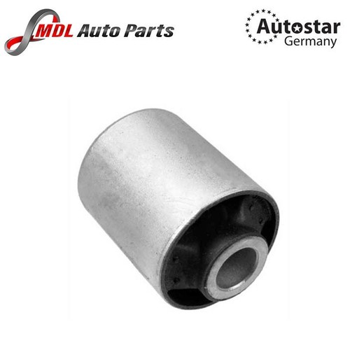 Autostar control arm - arm, bush