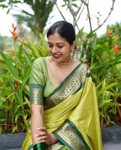 Saree wedding sari - sari, wear