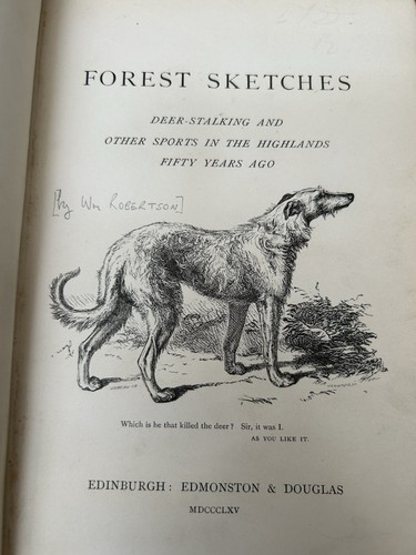 Forest sketches deer - sketches, stalking