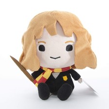 Harry Potter Charms Hermione