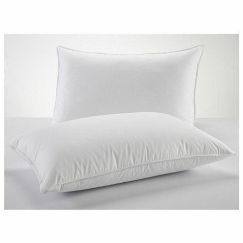 Luxury hotel quality - hotel, goose