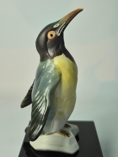 Karl ens penguin looking - ens, up