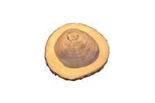 The HOUSEWARES Brand Rustica Board, Round, Acacia Wood, Perfect for Weddings, Ch