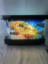 Living Aquarium Rotating Fish