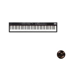 Digital piano stage - digital,