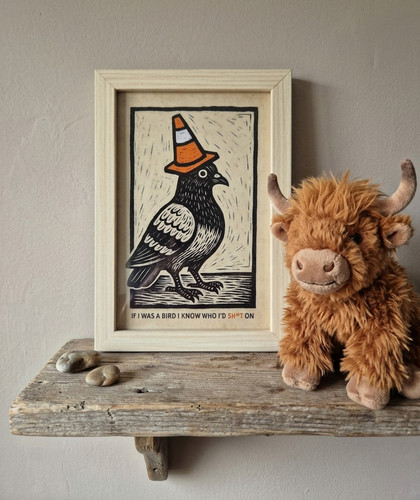 Funny bird 6x4 - funny, framed