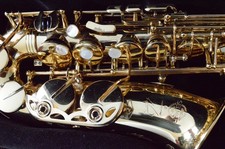 Selmer Reference 54 Hummingbird Alto Saxophone - Engraved