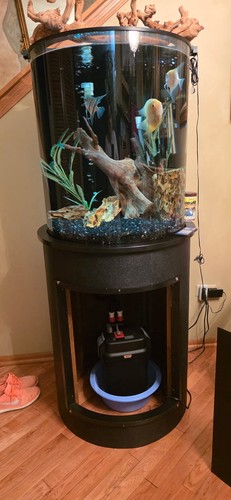 Gal acrylic bowfront - gal, fish