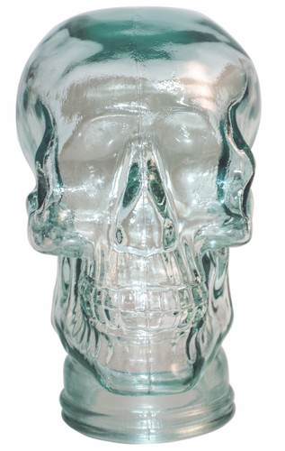Glass skull display head - skull,