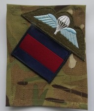 British Army Guards Parachute Platoon MTP/Blanking Panel TRF & Parachute Wings