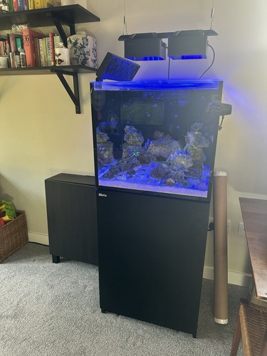 Red sea reefer - red, marine