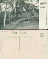 Sierra Leone Protectorate Rope Bridge Woodland A Lisk Carew Local Publisher