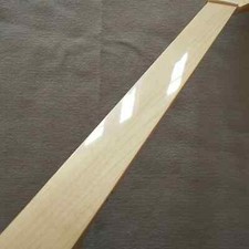 Fretless Guitar neck
