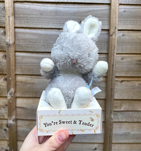 Bunnies the bay grey white - the, grey/white