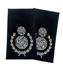 PAIR UK Fire Service Rank
