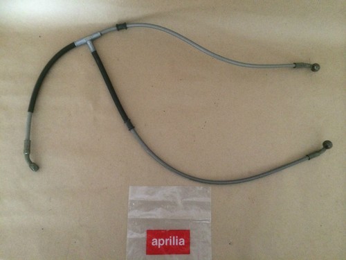 Brand new genuine - brand,