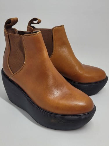Rare martens aerial - martens,