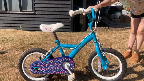 Great condition appollo petal - condition,
