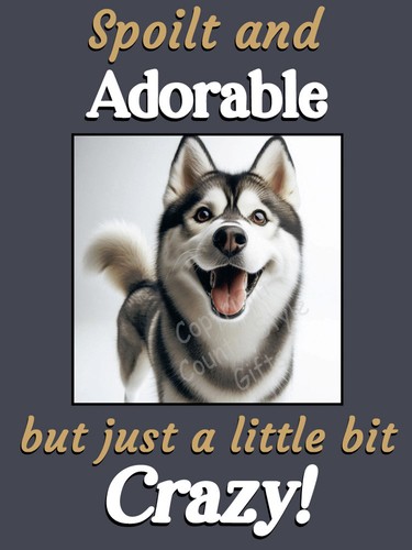 Husky malamute pet dog funny - ,