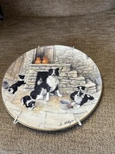 Border collie Vintage Border