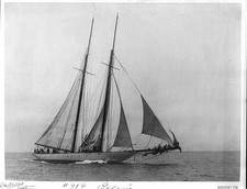 Photo:COLONIA,c1897,Yacht,Yach