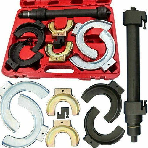 Universal strut spring - strut,