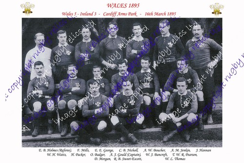 Wales 1895 rugby team - 1895,
