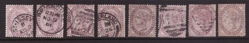 1881 penny lilacs selection - lilacs,