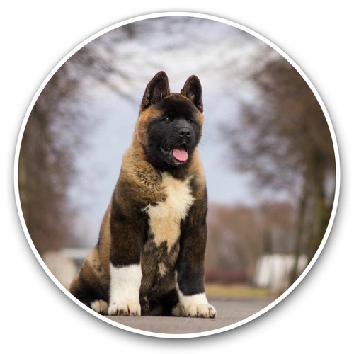 Vinyl stickers 15cm - x,