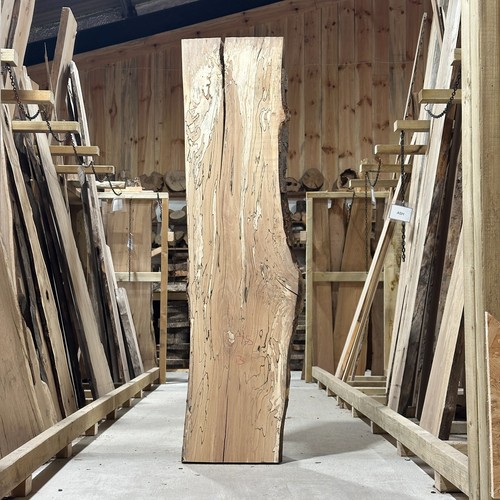 Spalted beech plank board - beech,